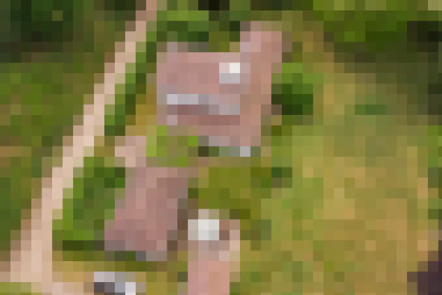 Bleijenbeek 2 Afferden L thumbnail 15