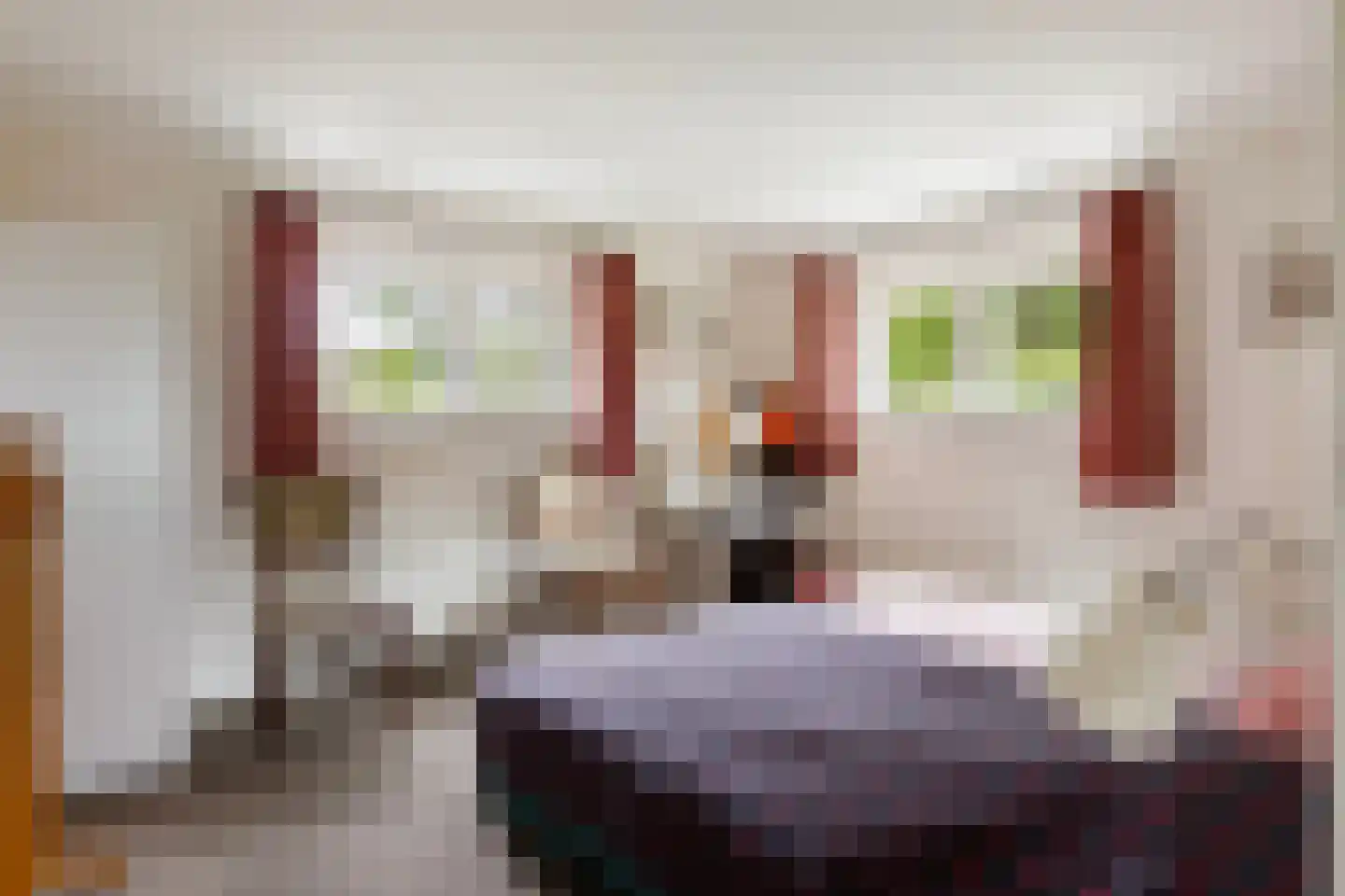 Bleijenbeek 2 Afferden L thumbnail 25