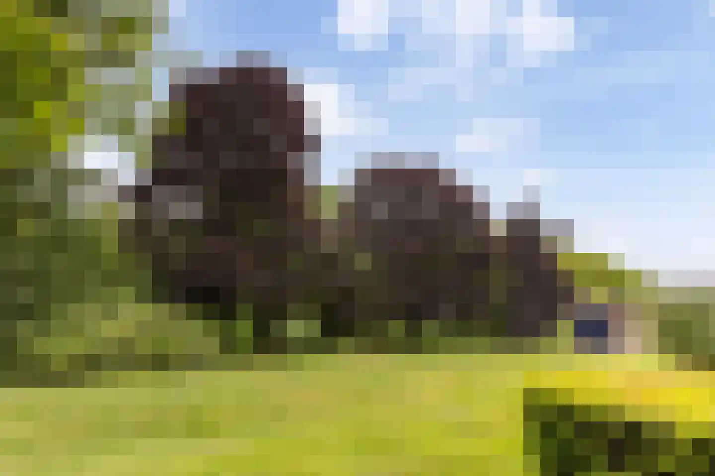 Bleijenbeek 2 Afferden L thumbnail 39