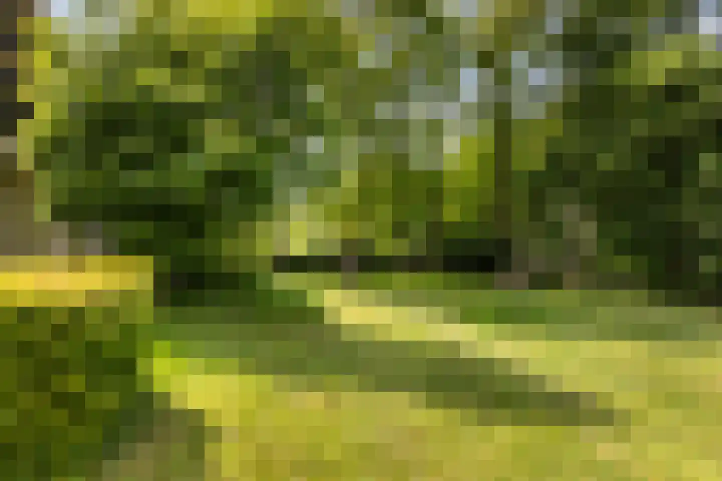 Bleijenbeek 2 Afferden L thumbnail 40