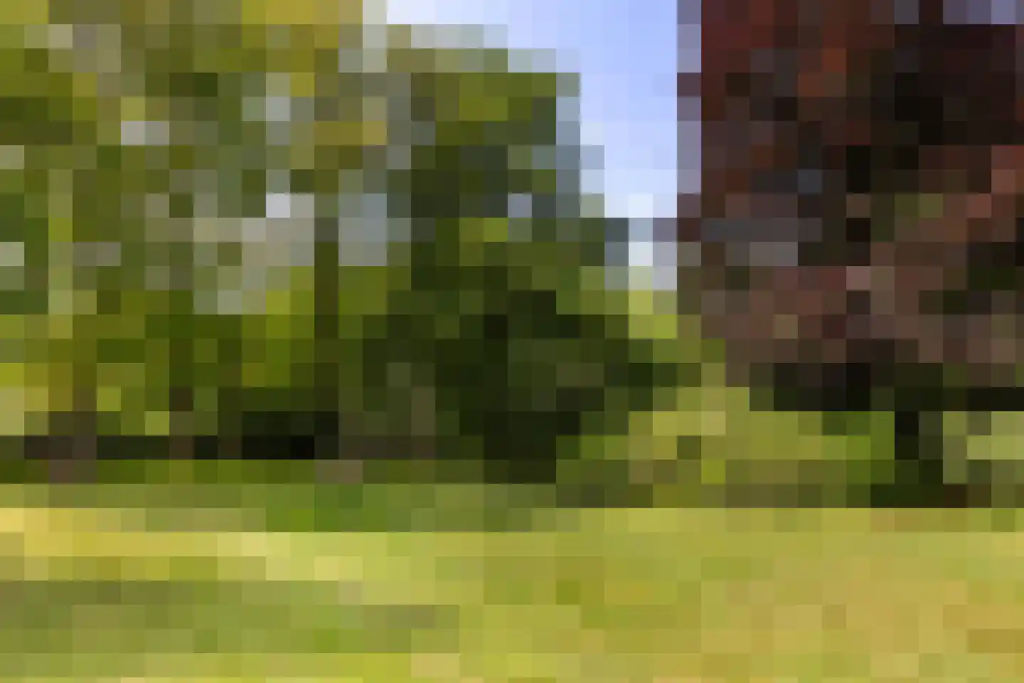 Bleijenbeek 2 Afferden L thumbnail 41