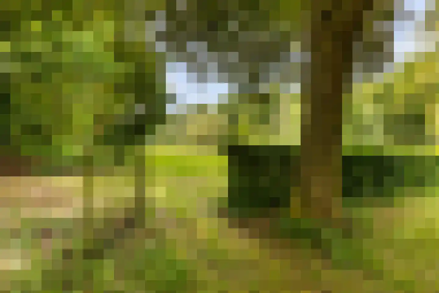 Bleijenbeek 2 Afferden L thumbnail 42