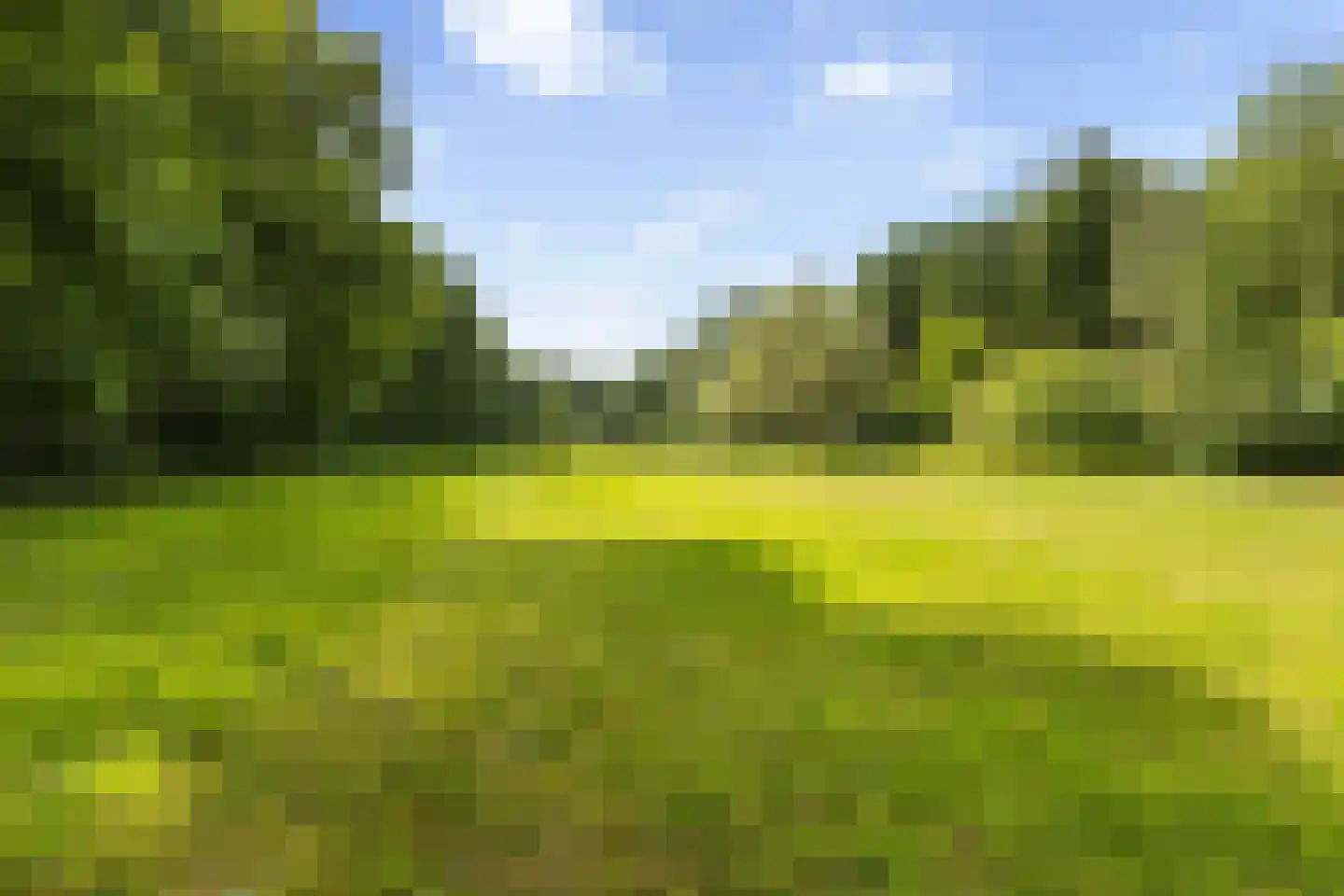 Bleijenbeek 2 Afferden L thumbnail 44