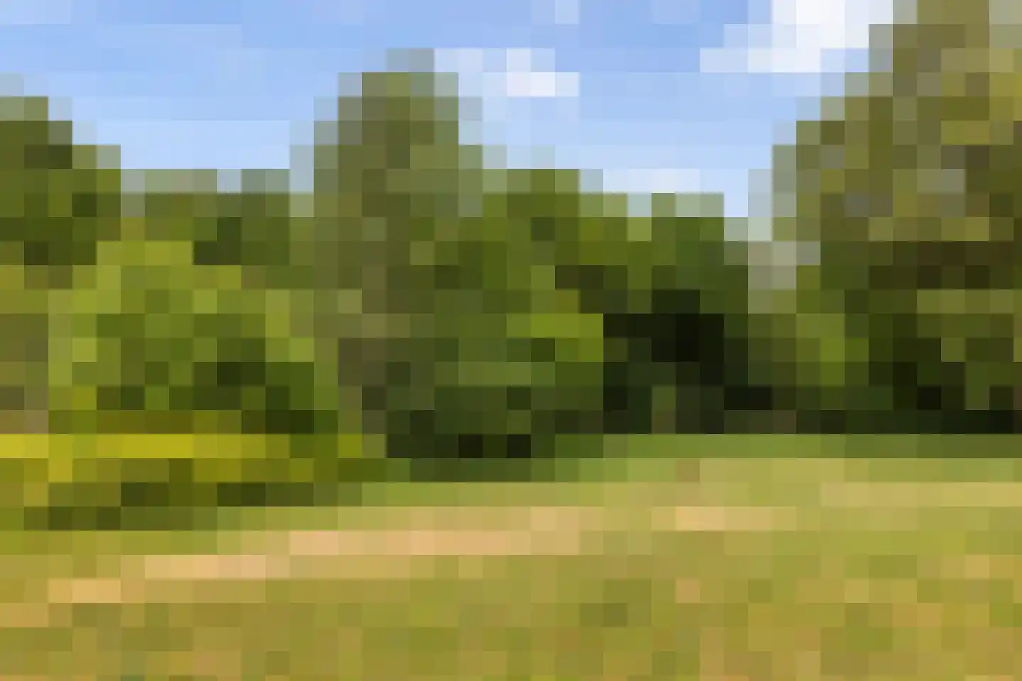 Bleijenbeek 2 Afferden L thumbnail 45
