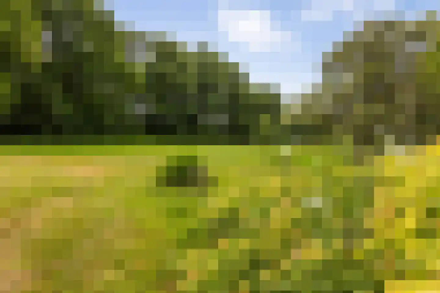 Bleijenbeek 2 Afferden L thumbnail 46