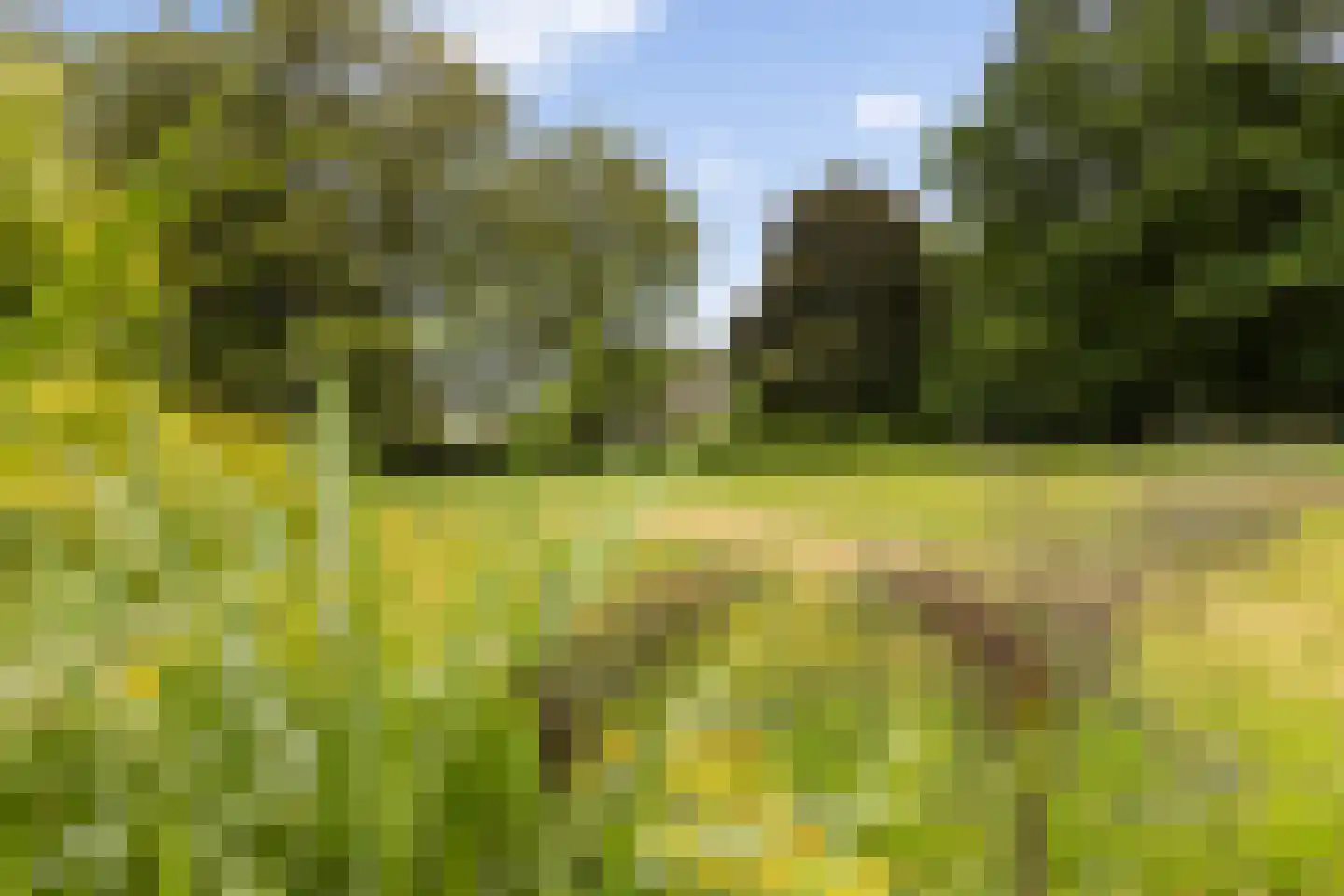 Bleijenbeek 2 Afferden L thumbnail 47