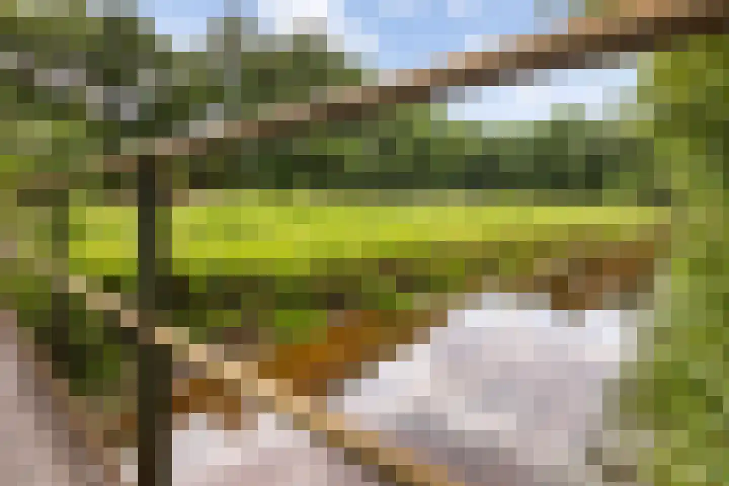 Bleijenbeek 2 Afferden L thumbnail 48