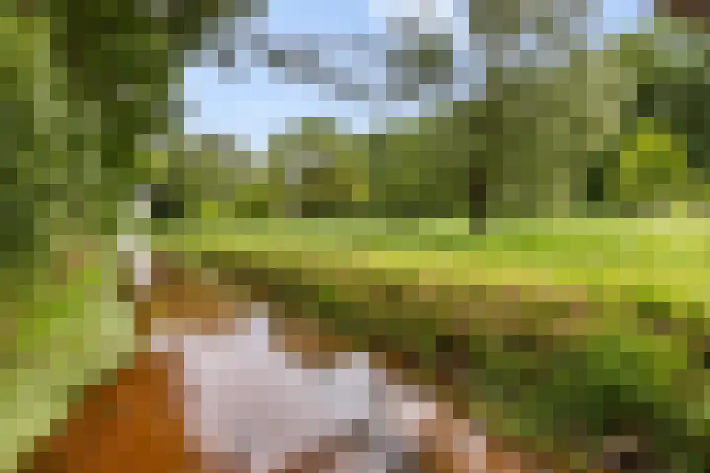 Bleijenbeek 2 Afferden L thumbnail 49