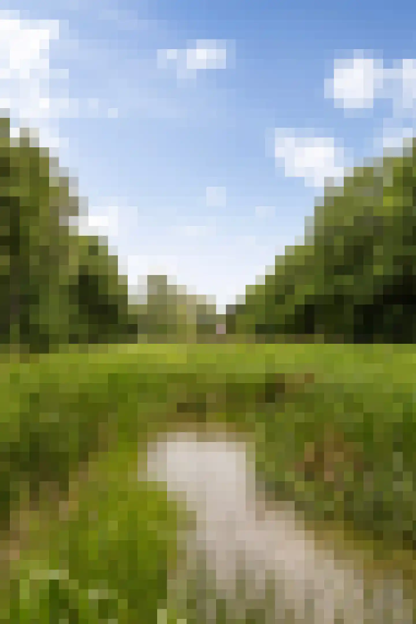 Bleijenbeek 2 Afferden L thumbnail 51