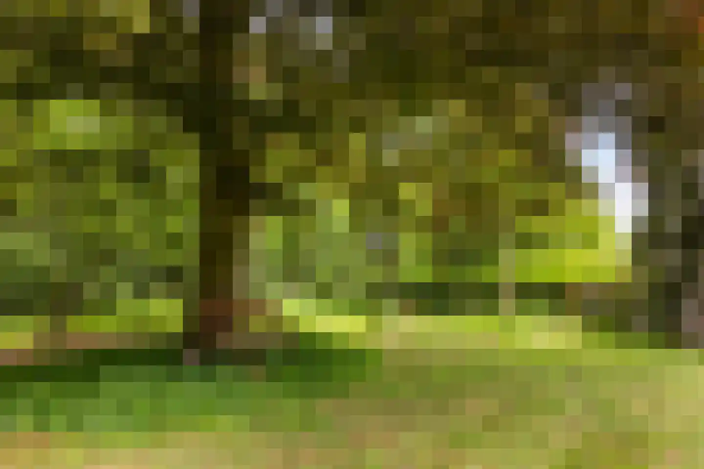 Bleijenbeek 2 Afferden L thumbnail 52