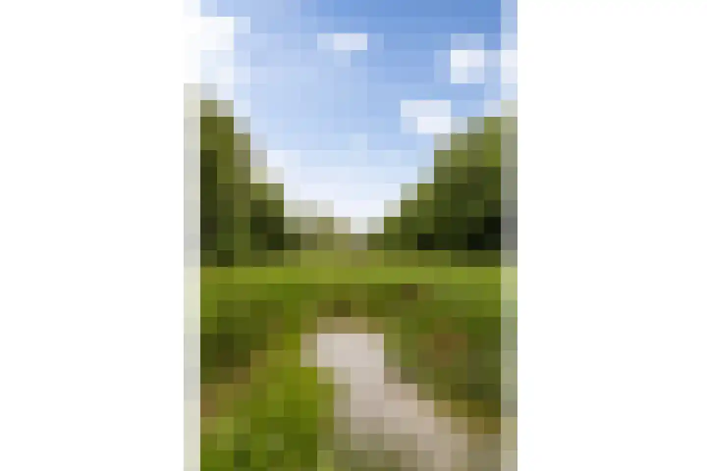 Bleijenbeek 2 Afferden L thumbnail 53