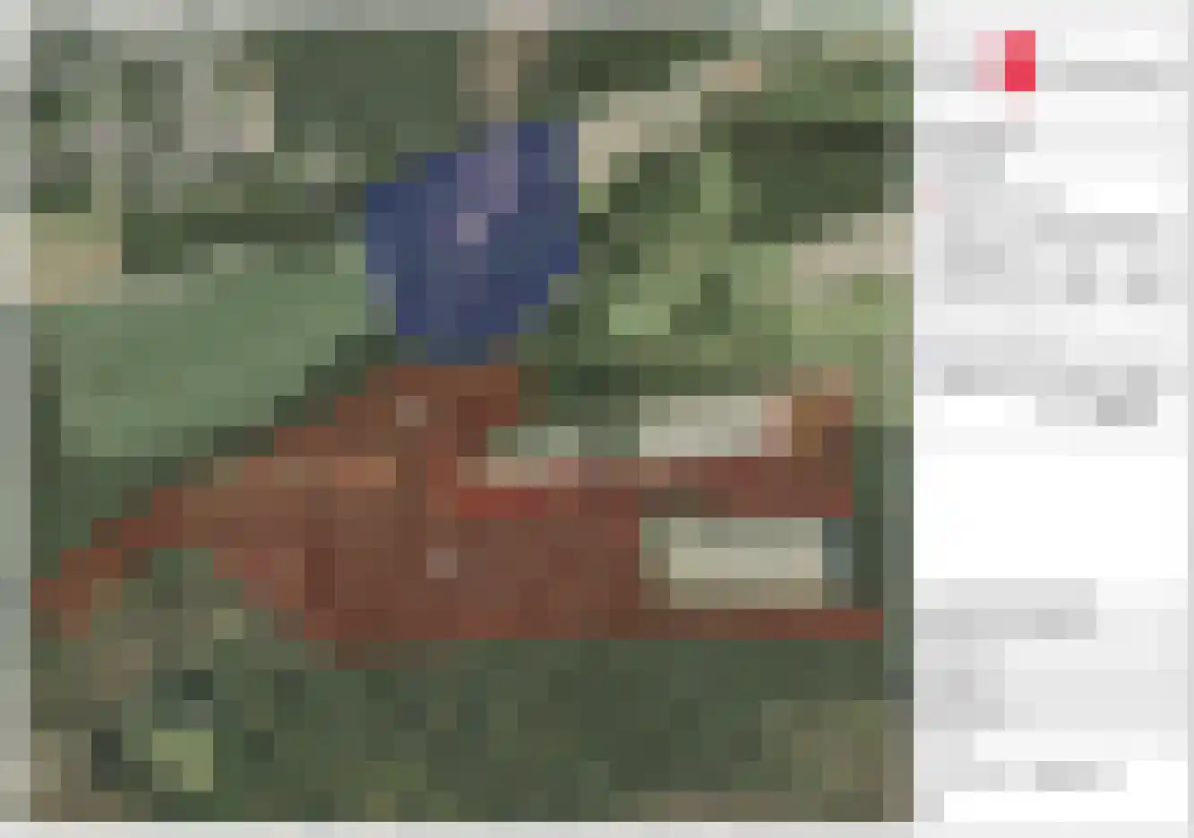 Bleijenbeek 2 Afferden L thumbnail 54