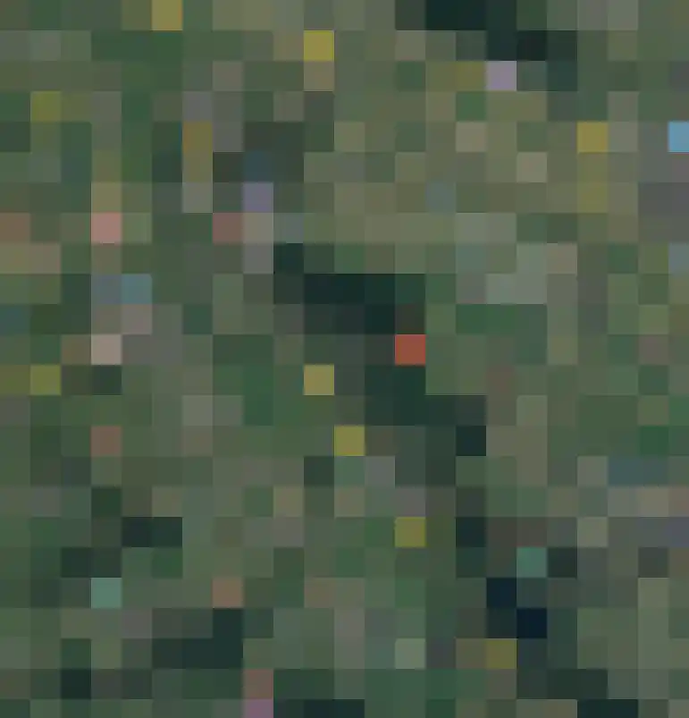 Bleijenbeek 2 Afferden L thumbnail 56