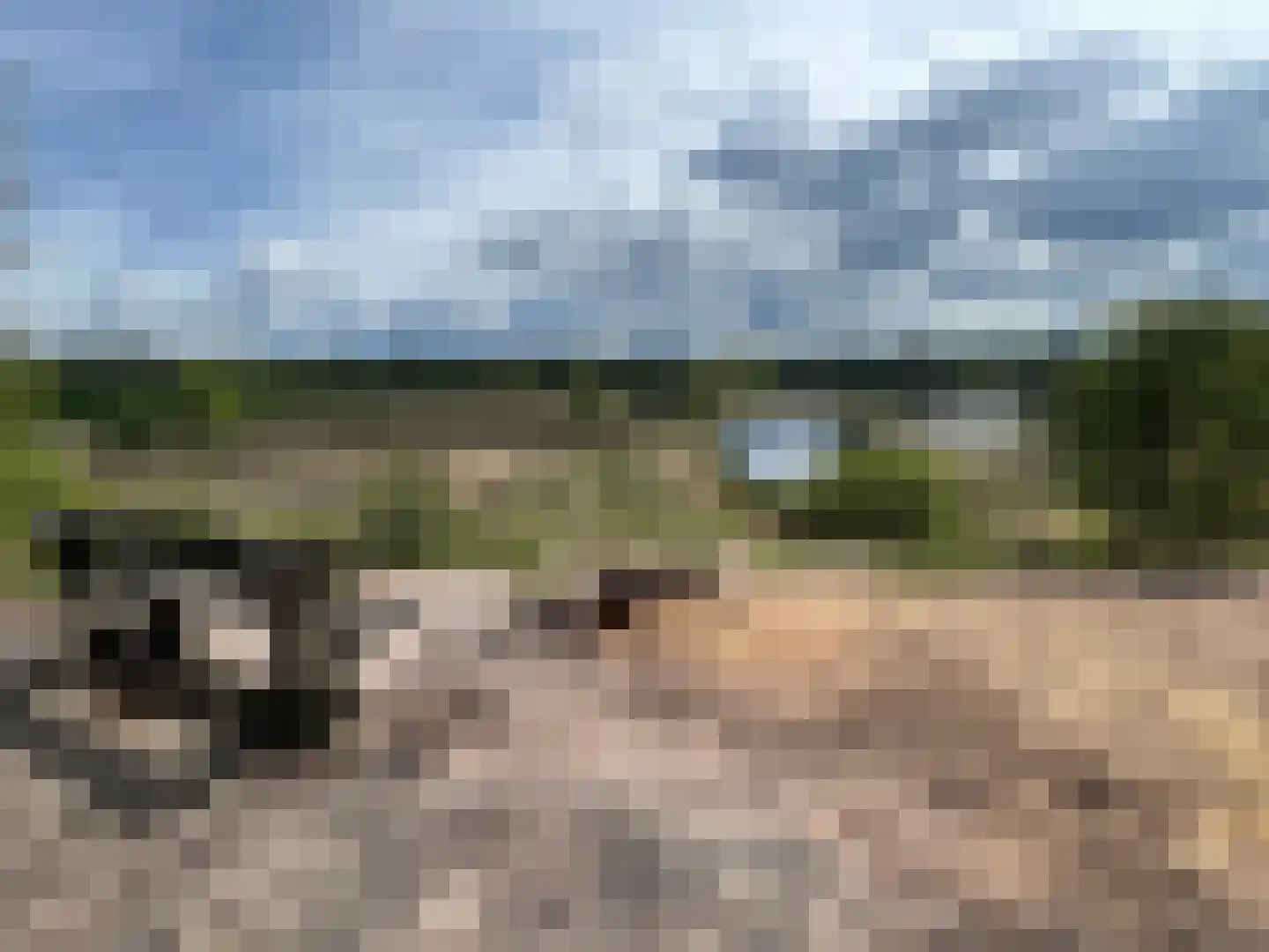 Bleijenbeek 2 Afferden L thumbnail 59