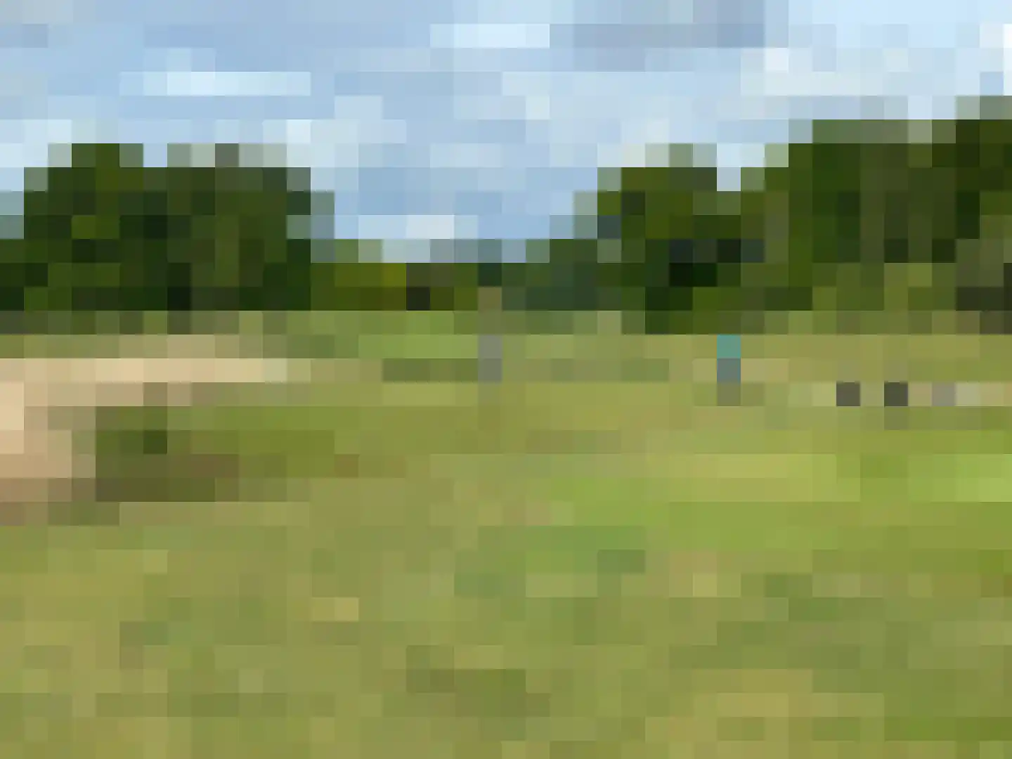 Bleijenbeek 2 Afferden L thumbnail 62