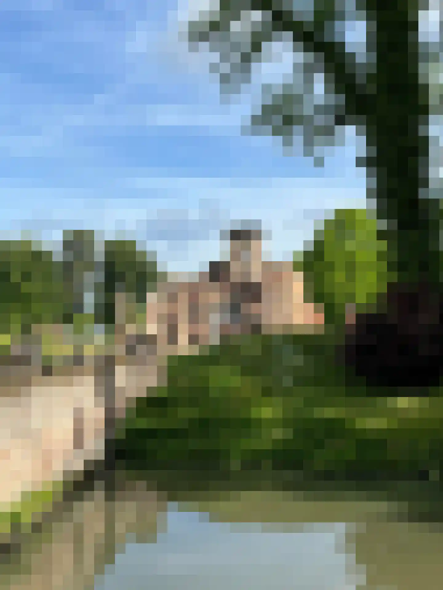 Bleijenbeek 2 Afferden L thumbnail 65