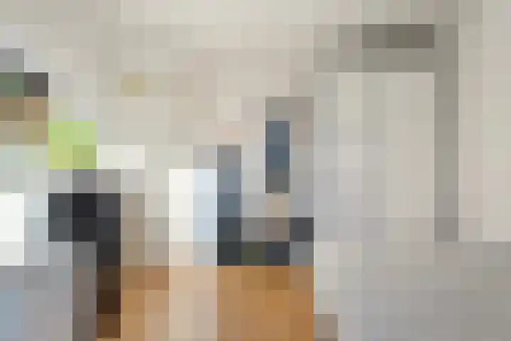 Bleijenbeek 21 Almelo thumbnail 21