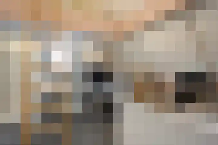 Bleijenbeek 21 Almelo thumbnail 26