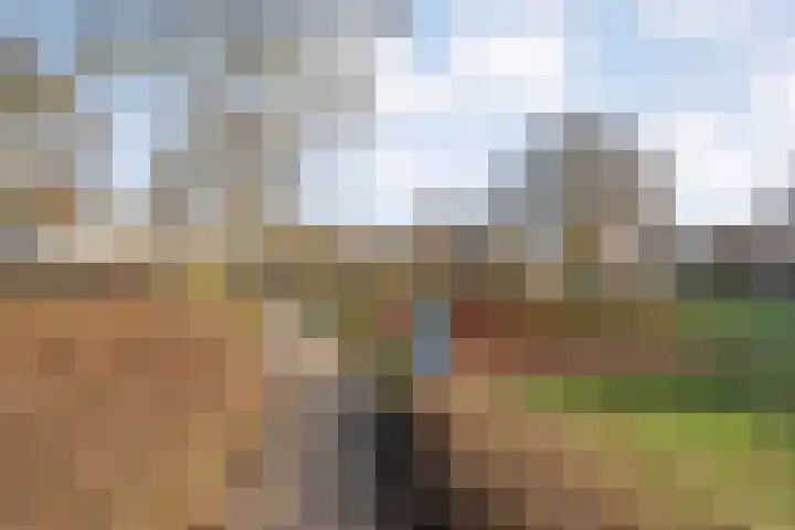 Bleijenbeek 21 Almelo thumbnail 33