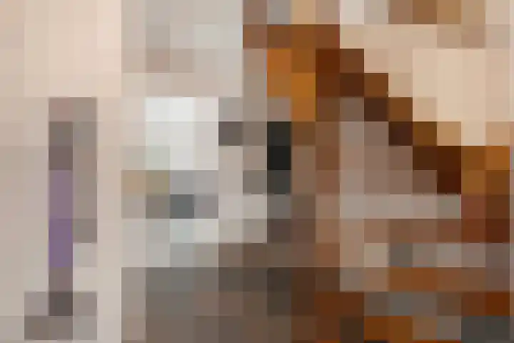 Bleijenbeek 21 Almelo thumbnail 5
