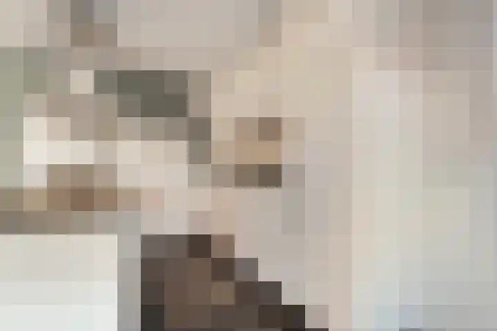Bleijenbeek 21 Almelo thumbnail 9