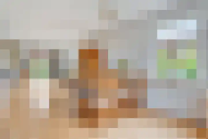 Bleijenbeek 26 Almelo thumbnail 10