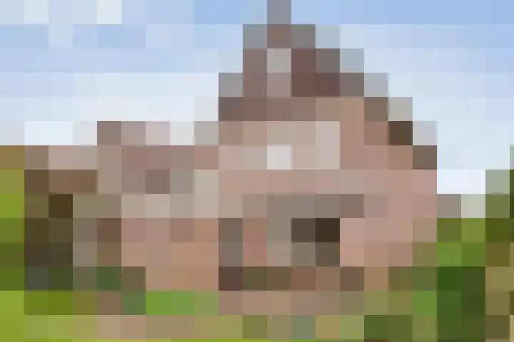 Bleijenbeek 26 Almelo thumbnail 25