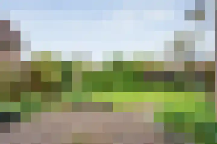 Bleijenbeek 26 Almelo thumbnail 26