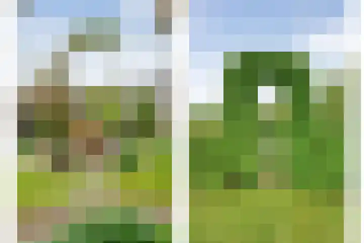 Bleijenbeek 26 Almelo thumbnail 27