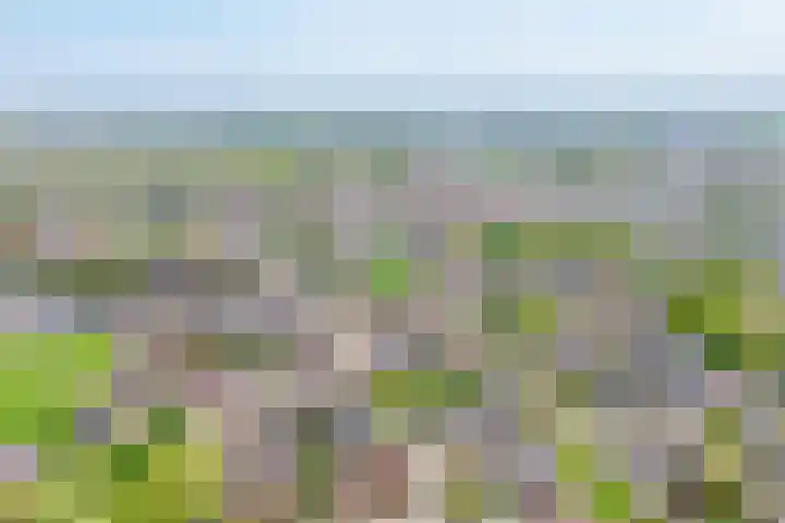 Bleijenbeek 26 Almelo thumbnail 29