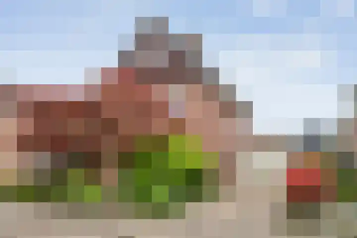 Bleijenbeek 26 Almelo thumbnail 31