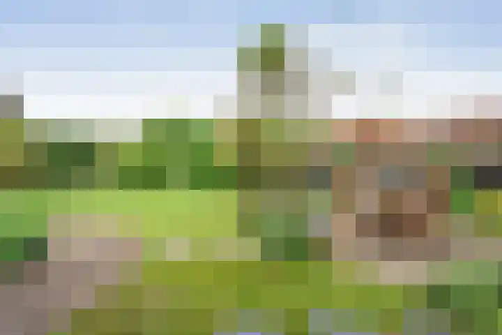 Bleijenbeek 26 Almelo thumbnail 4