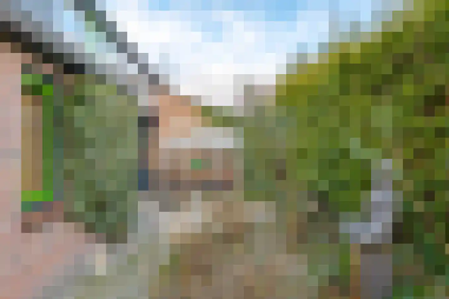 Bleijenbeek 31 Roden thumbnail 10