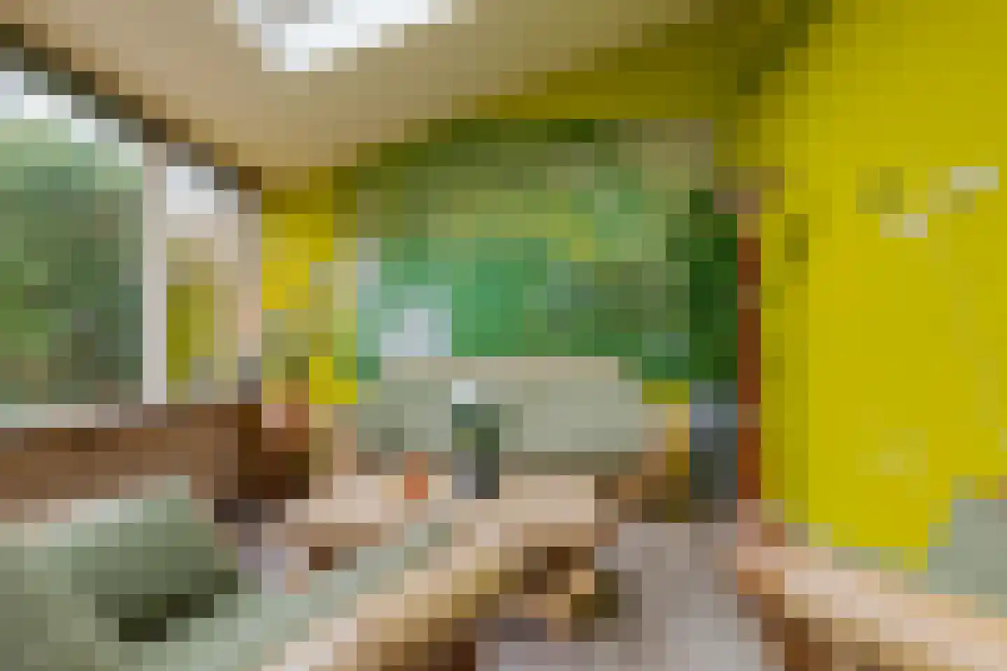Bleijenbeek 31 Roden thumbnail 17