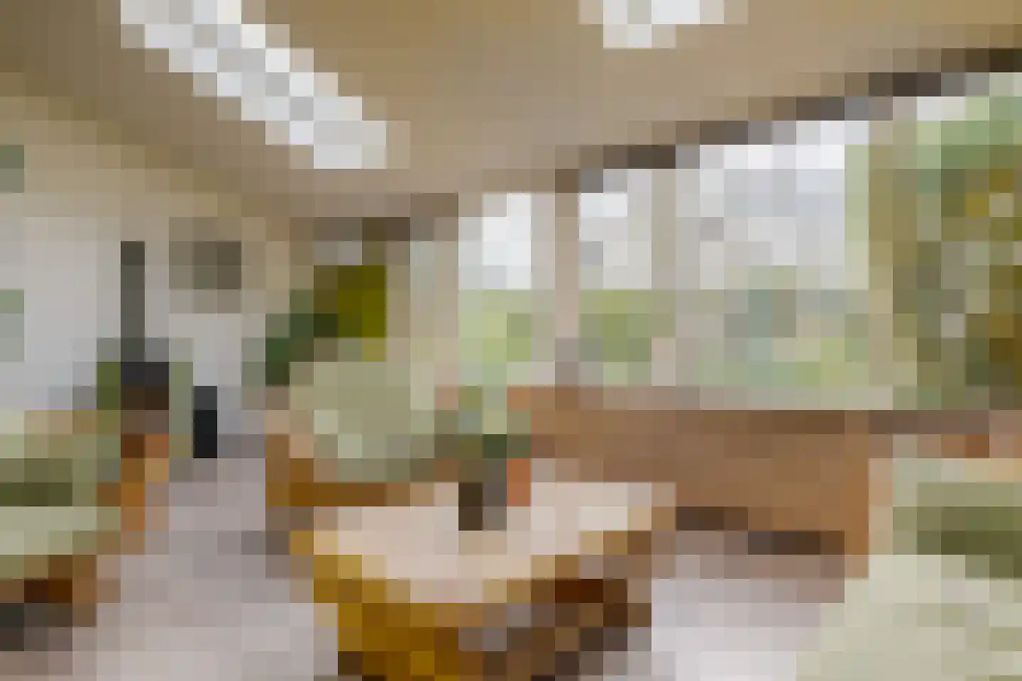 Bleijenbeek 31 Roden thumbnail 18