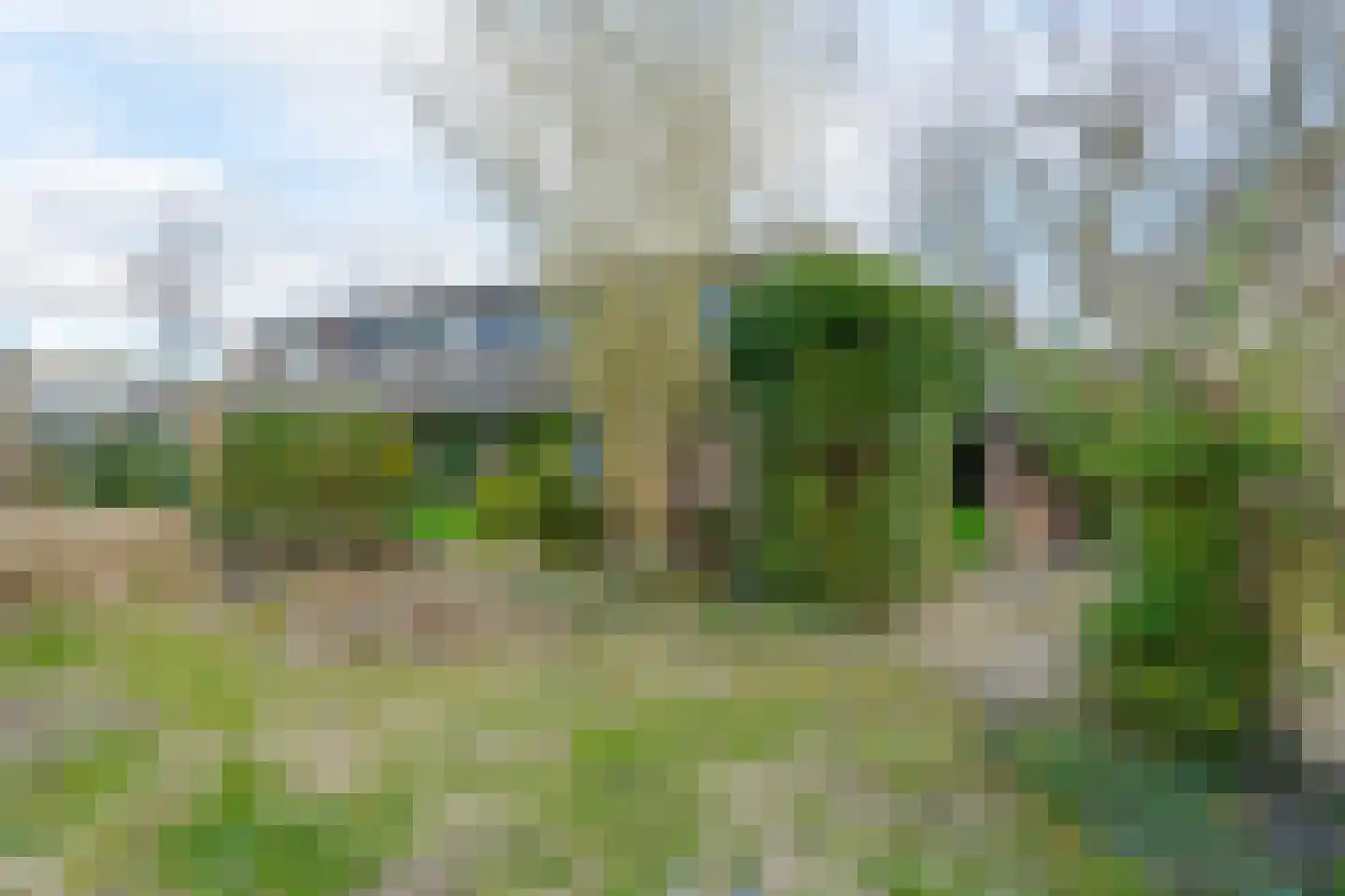 Bleijenbeek 31 Roden thumbnail 20