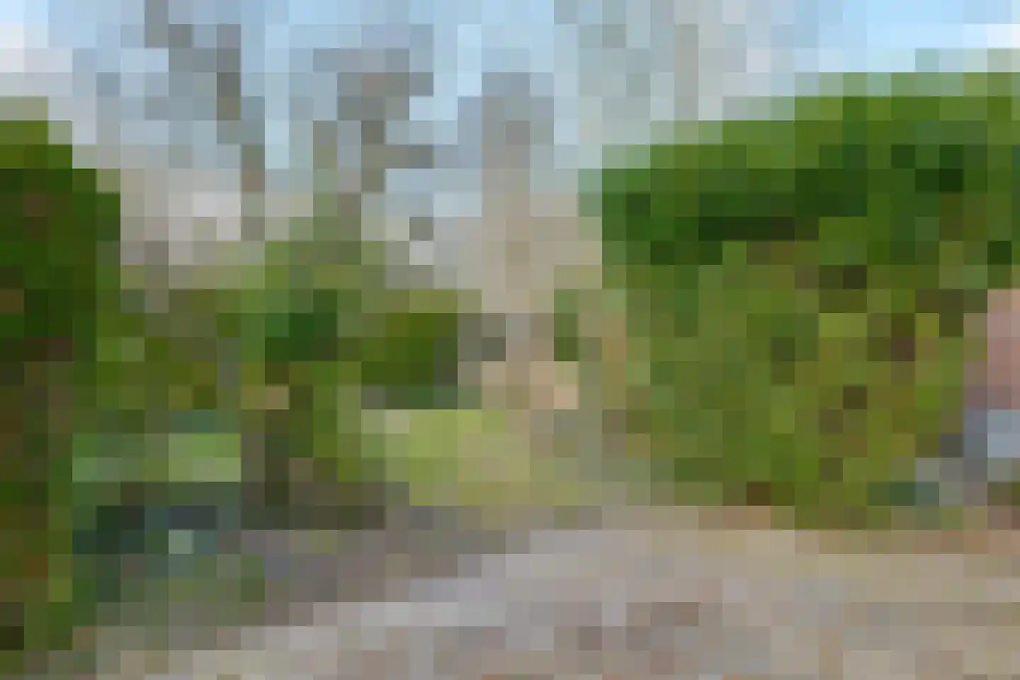 Bleijenbeek 31 Roden thumbnail 23