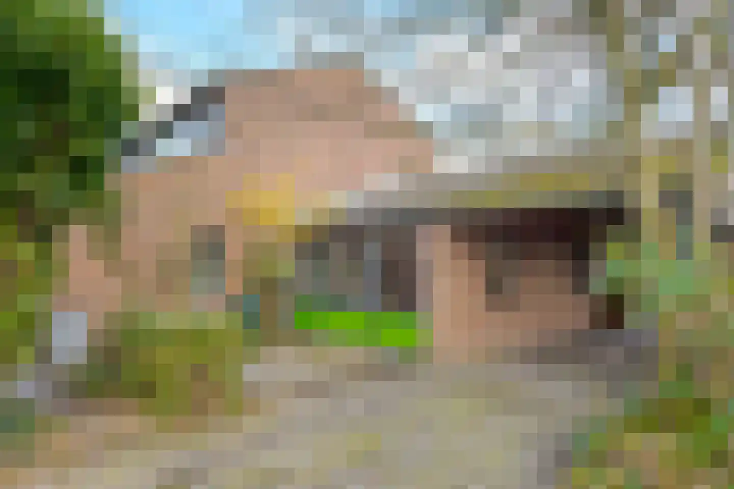 Bleijenbeek 31 Roden thumbnail 24