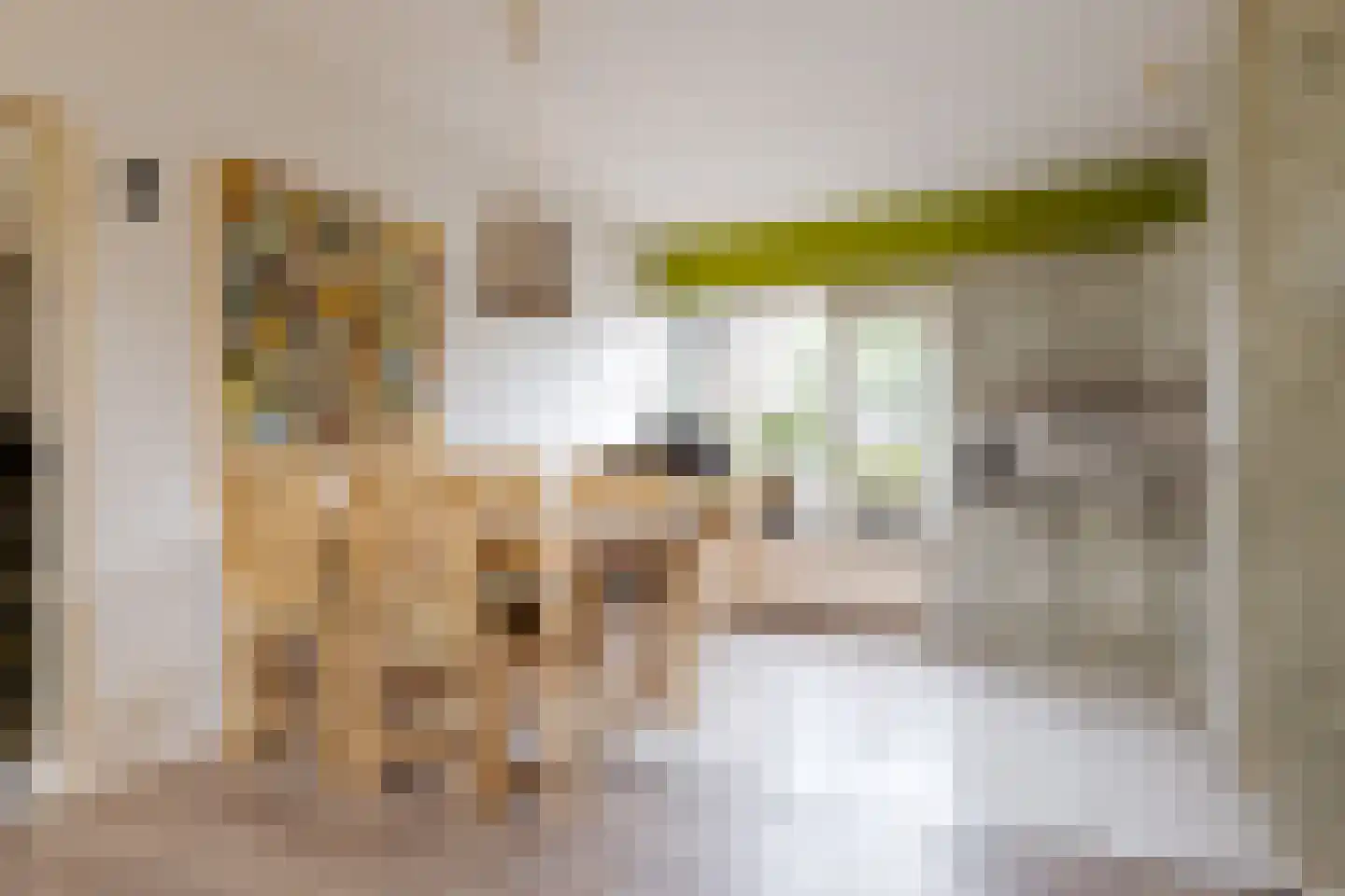 Bleijenbeek 31 Roden thumbnail 27