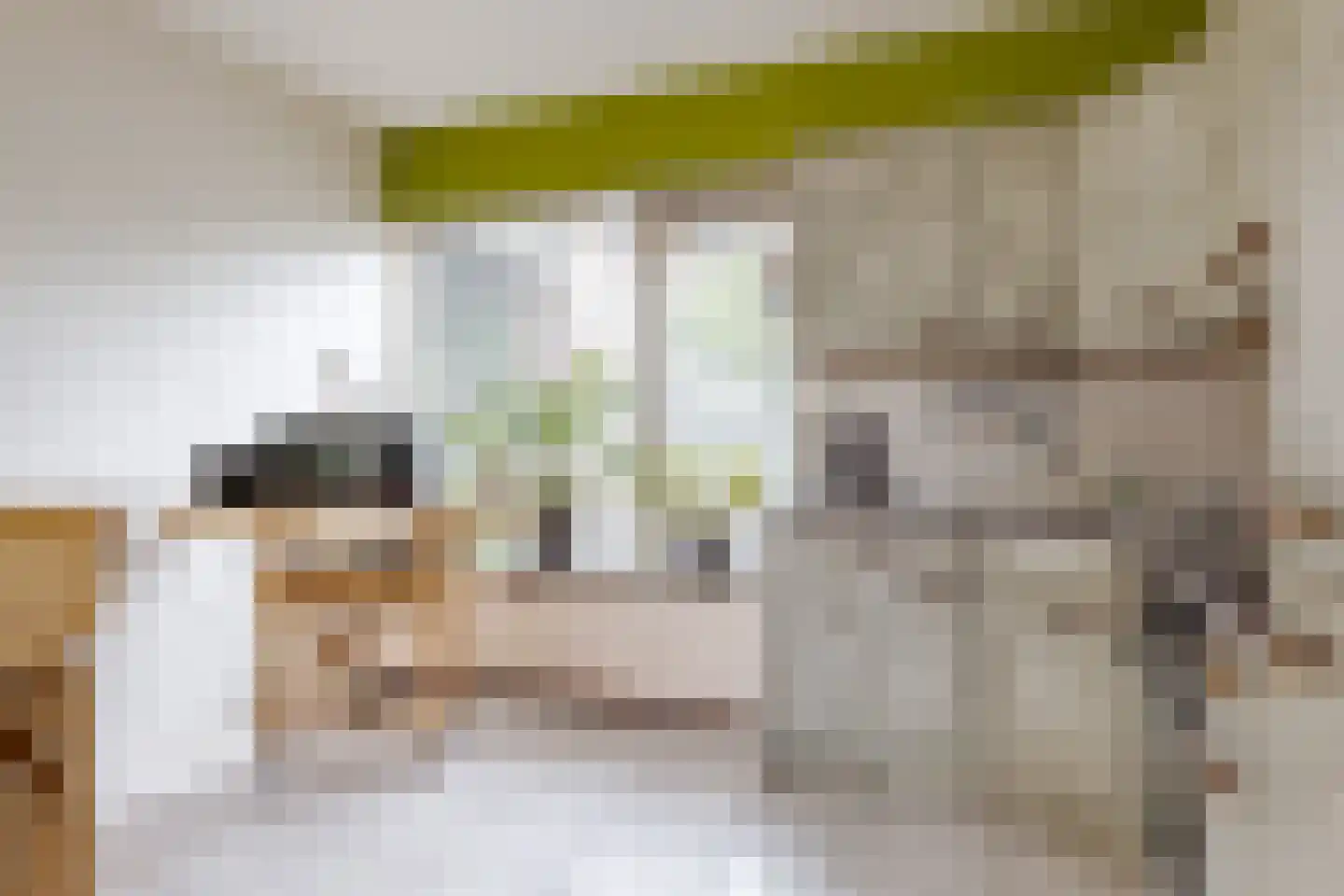 Bleijenbeek 31 Roden thumbnail 29