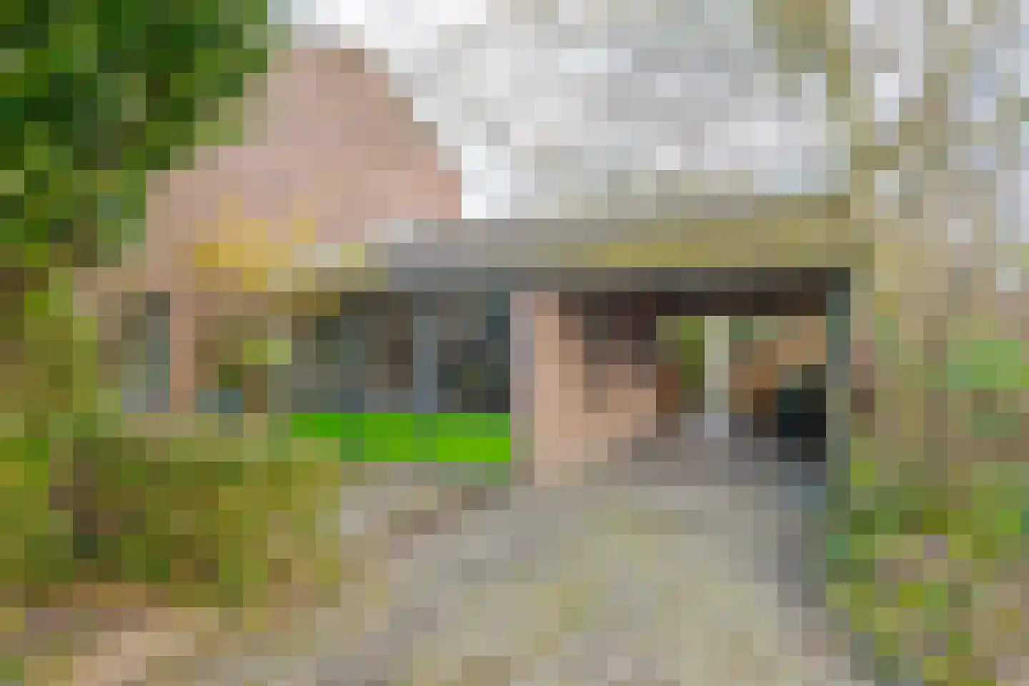 Bleijenbeek 31 Roden thumbnail 7