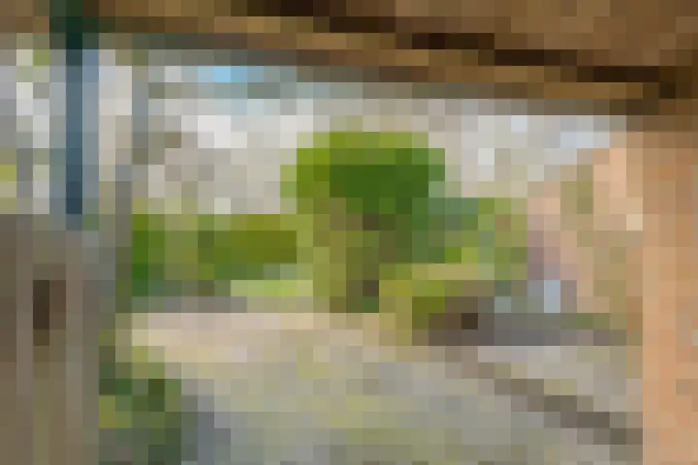 Bleijenbeek 31 Roden thumbnail 8