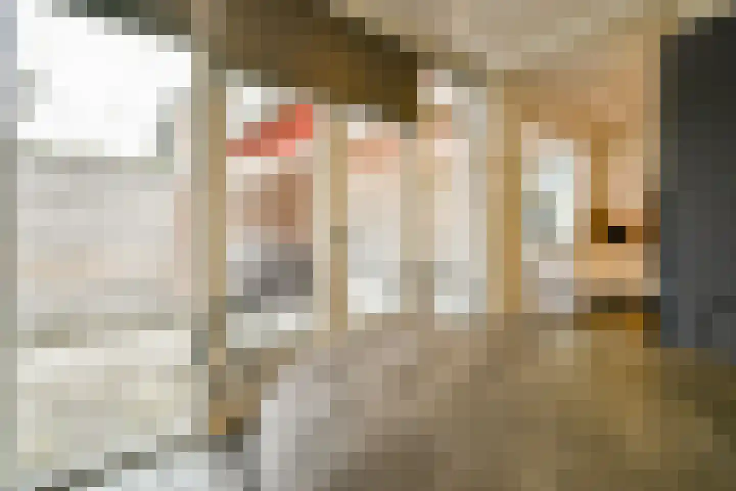 Bleijenbeek 32 Amsterdam thumbnail 14