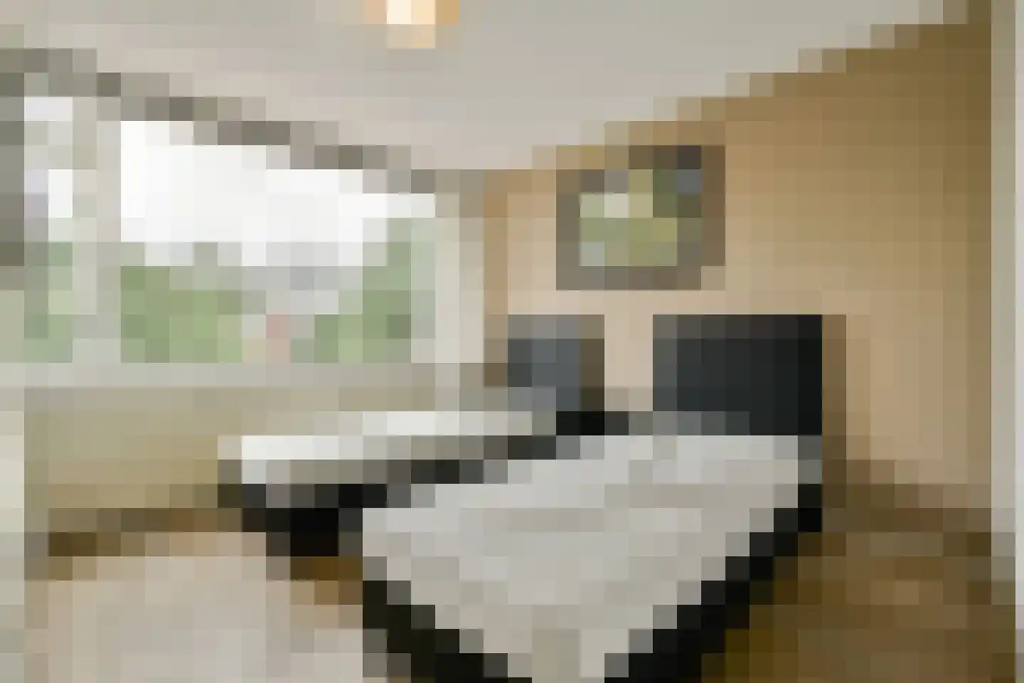 Bleijenbeek 32 Amsterdam thumbnail 20