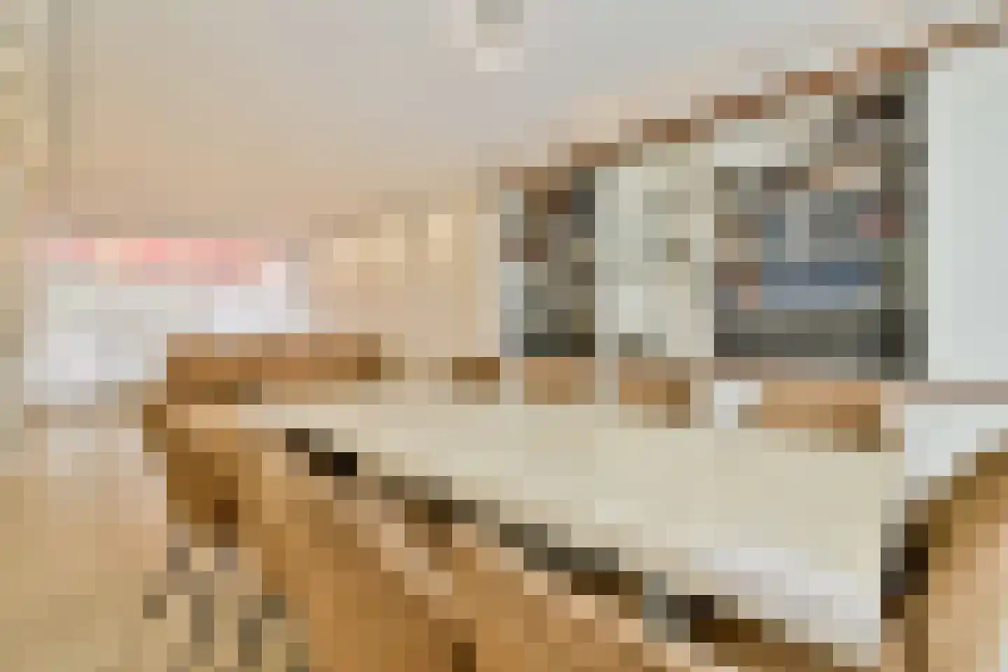 Bleijenbeek 32 Amsterdam thumbnail 6