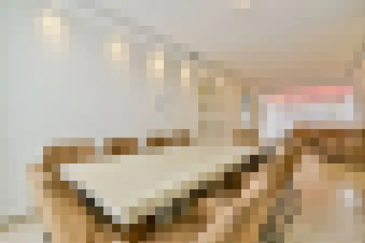 Bleijenbeek 32 Amsterdam thumbnail 9
