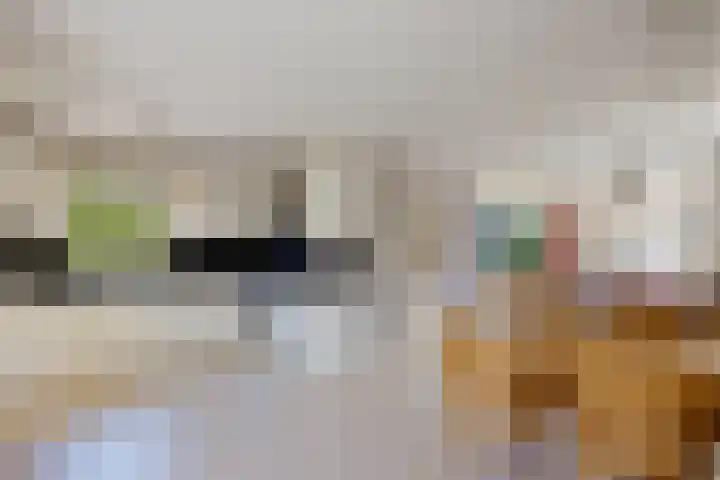 Bleijenbeek 47 Roden thumbnail 13