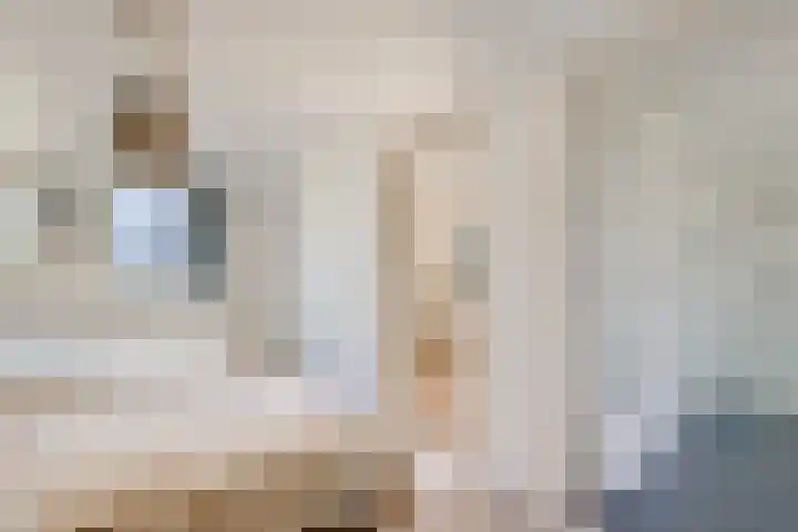Bleijenbeek 47 Roden thumbnail 19