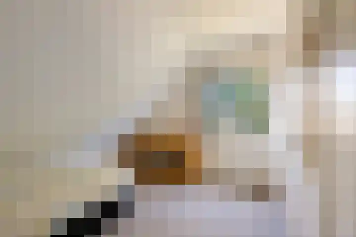 Bleijenbeek 47 Roden thumbnail 23