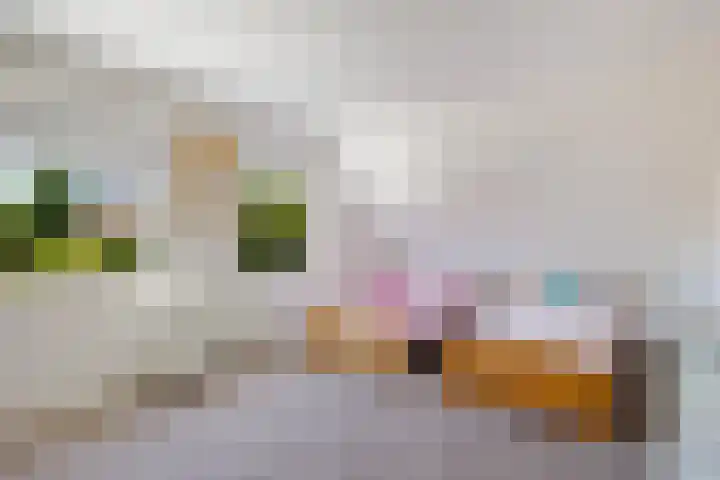 Bleijenbeek 47 Roden thumbnail 30